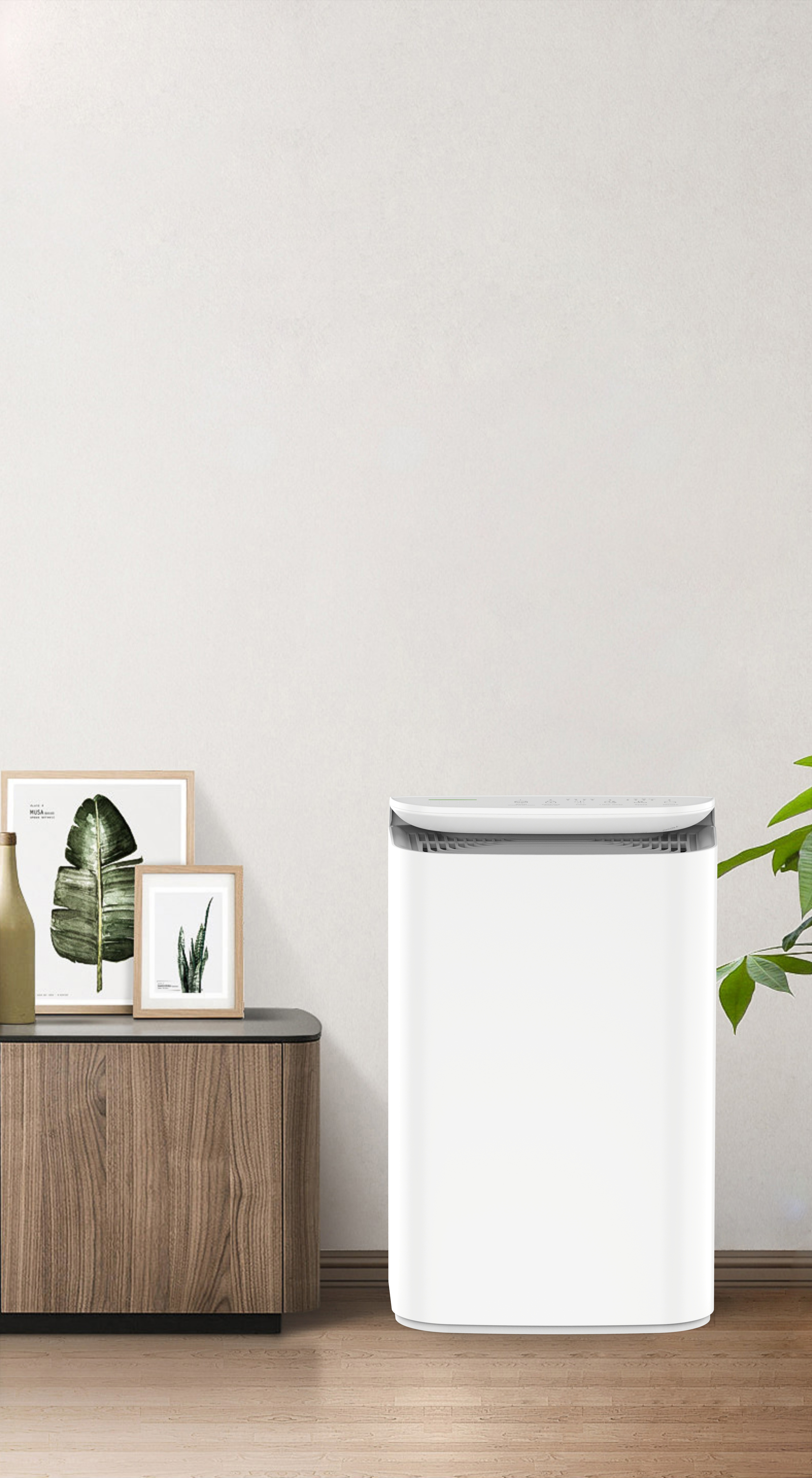 অয়ন প্রযুক্তি বনের বিকেজে -16 বি এর নতুন শ্বাস আপগ্রেড করুন