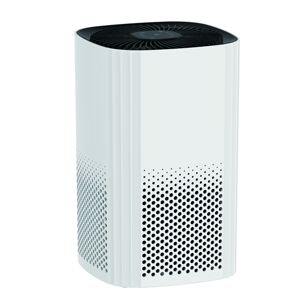 ফর্মালডিহাইডকে সেরা সরান, তাজা বায়ু সর্বাধিক বিকেজে -২২ ডি উপভোগ করুন