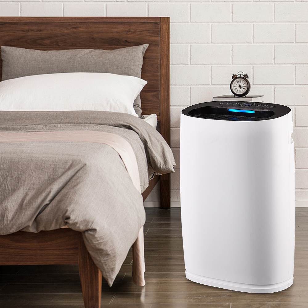 ফর্মালডিহাইডকে সেরা সরান, তাজা বায়ু সর্বাধিক বিকেজে -306 উপভোগ করুন