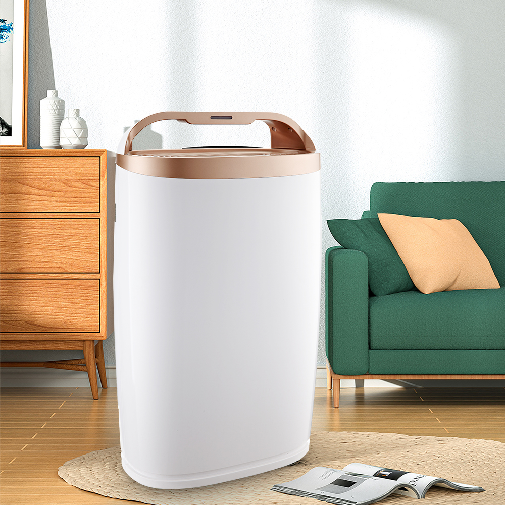 ফর্মালডিহাইডকে সেরা সরান, তাজা বায়ু সর্বাধিক বিকেজে -306 এ উপভোগ করুন